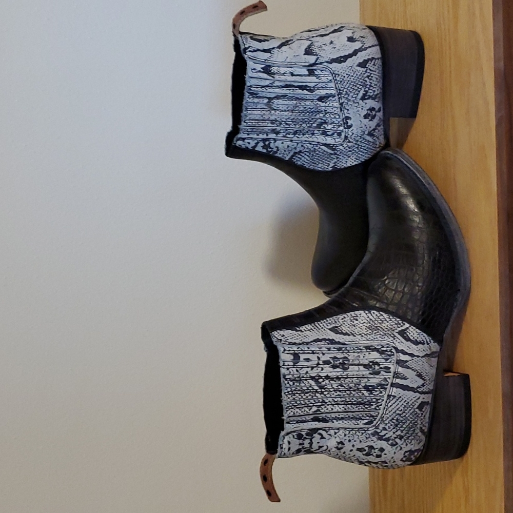 Freebird by Steven Salamanca  boot